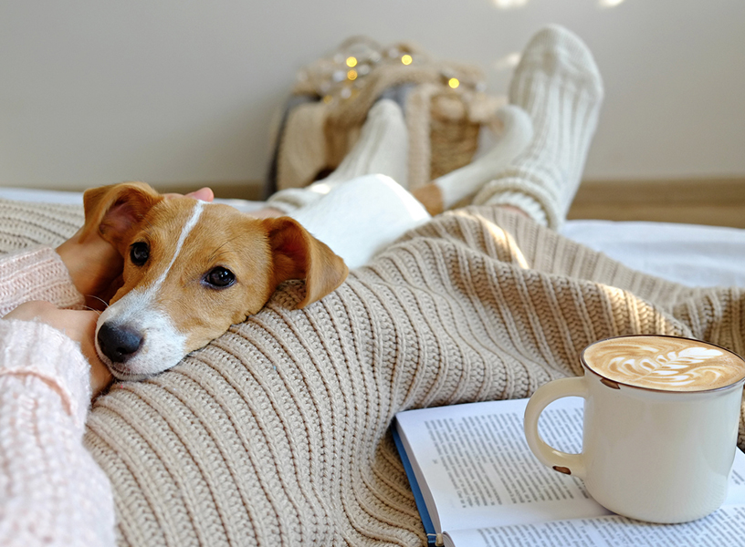 Dog resting between his owners legs