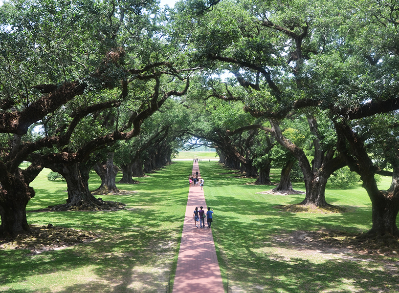 Walking path