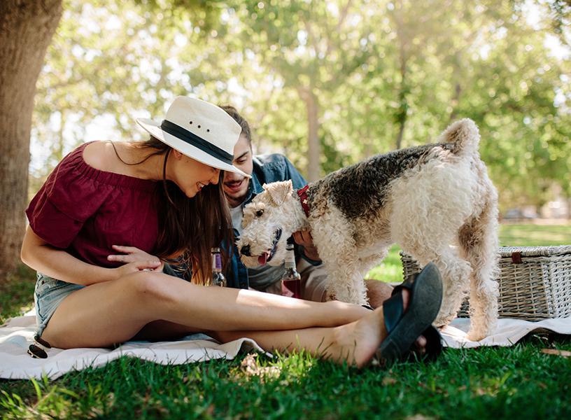 Young couple at the park with their dog